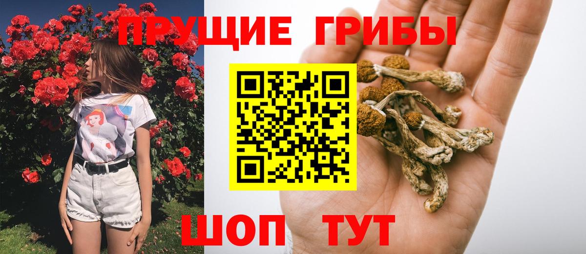 Камышлов  Галлюциногенные грибы Magic Shrooms  Вход с VPN 